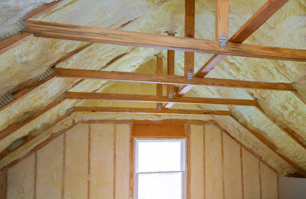 Best Insulation Installation Services in Pierson, FL