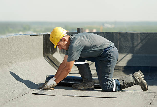 Best Specialty Insulation in Pierson, FL