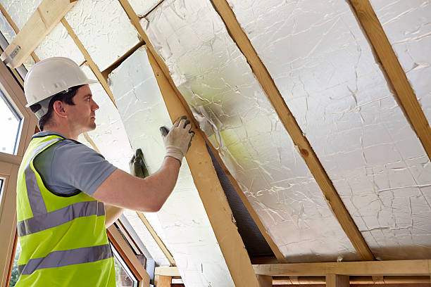 Best Types of Insulation in Pierson, FL
