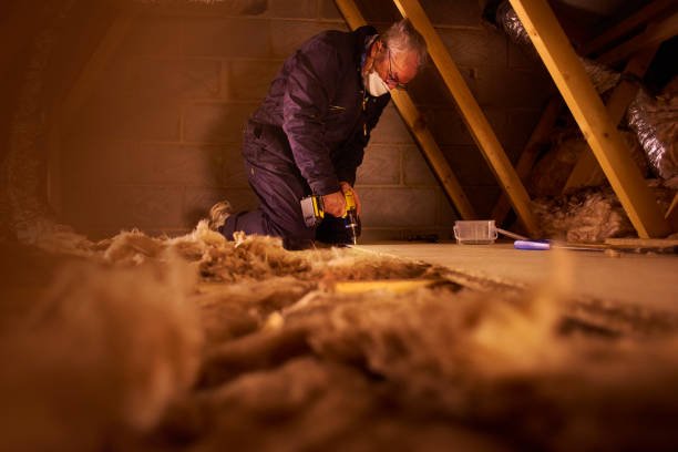Best Insulation Maintenance and Repair in Pierson, FL