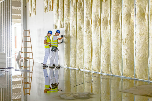Best Residential Insulation in Pierson, FL
